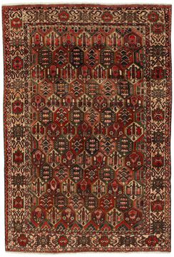 Rug Bakhtiari Garden 305x205