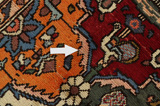 Bakhtiari - Garden Persian Rug 314x207 - Picture 18