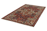 Bakhtiari - Garden Persian Rug 296x169 - Picture 2