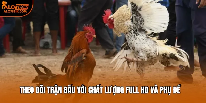 Theo dõi trận đấu với chất lượng full HD và phụ đề 